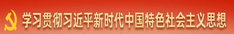 学习贯彻新时代中国特殊社会主义思想