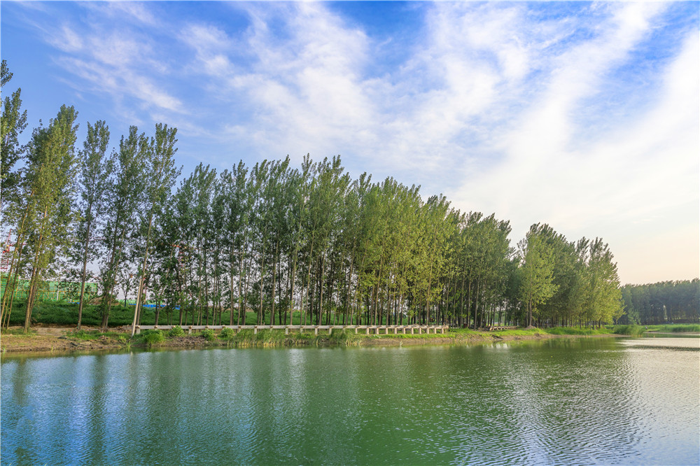 双洎河湿地公园